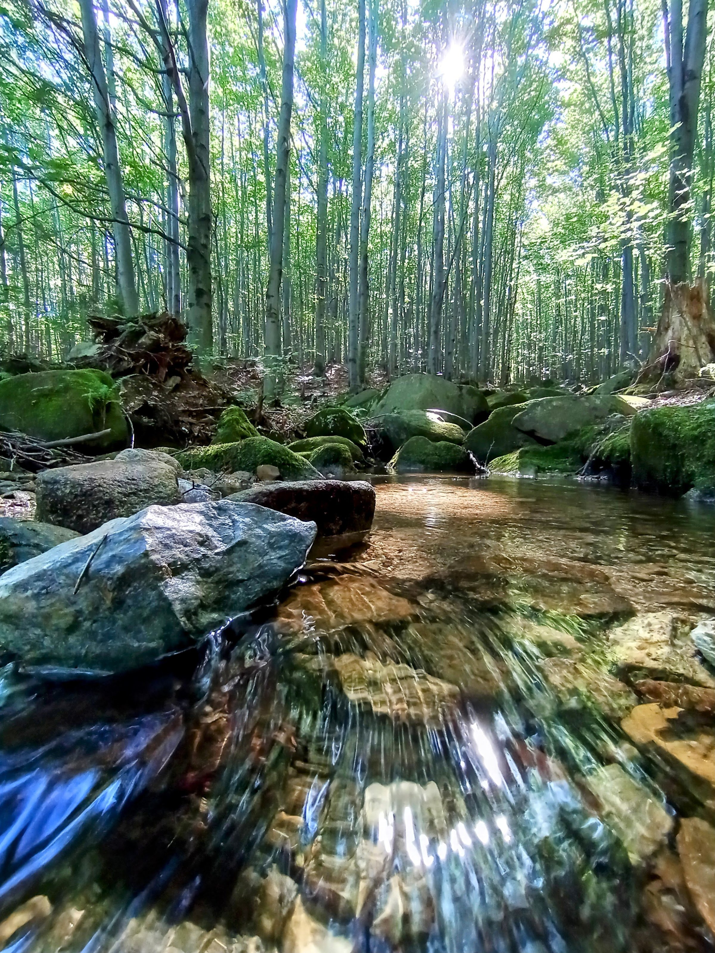 Rychleby Trails (Rychlebské stezky)